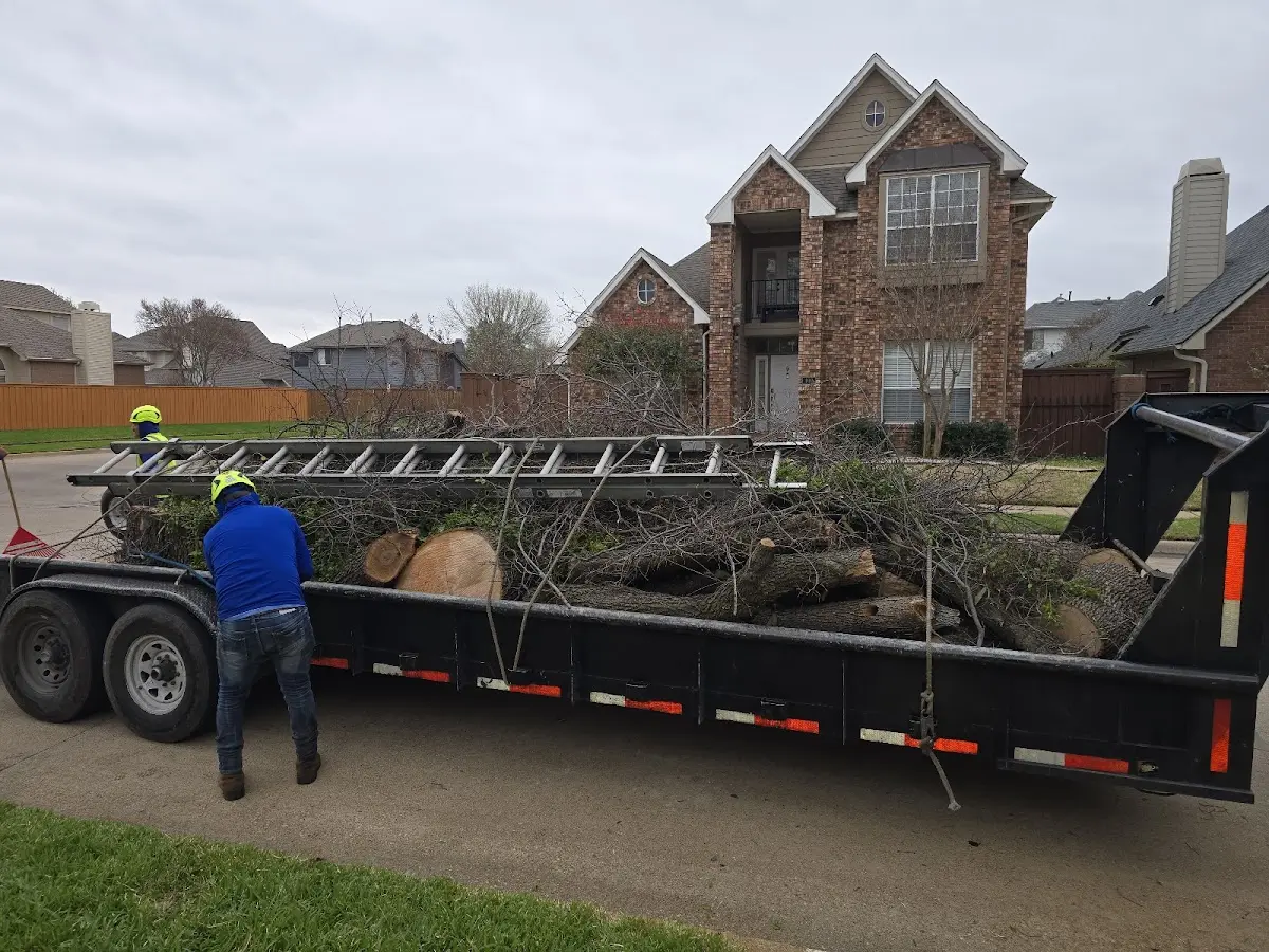 Expert Tree Fertilization with proper safety equipment in Lonoke